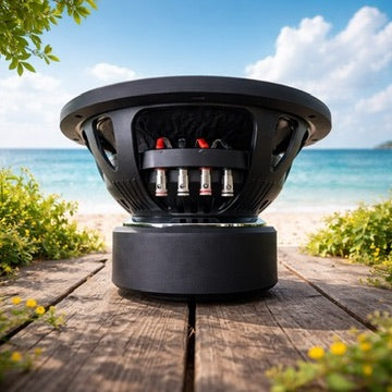 DTL Audio 12.4 Pro beach view